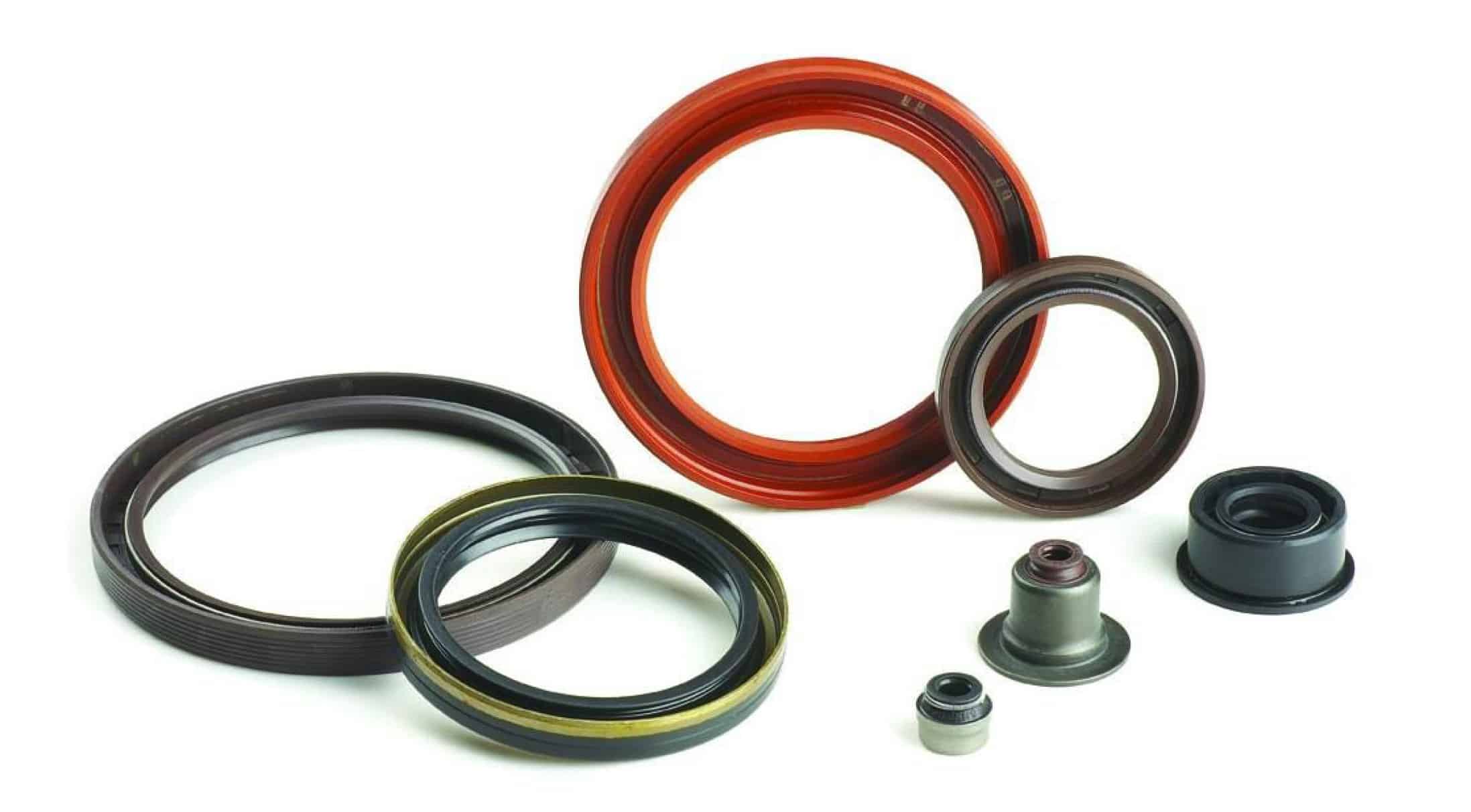 Oil Seals 101 Part 1 Global ORing and Seal