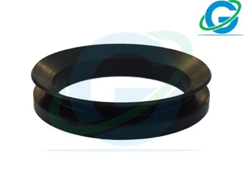 V Rings